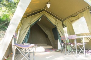 大嶼山特色露營-南非營