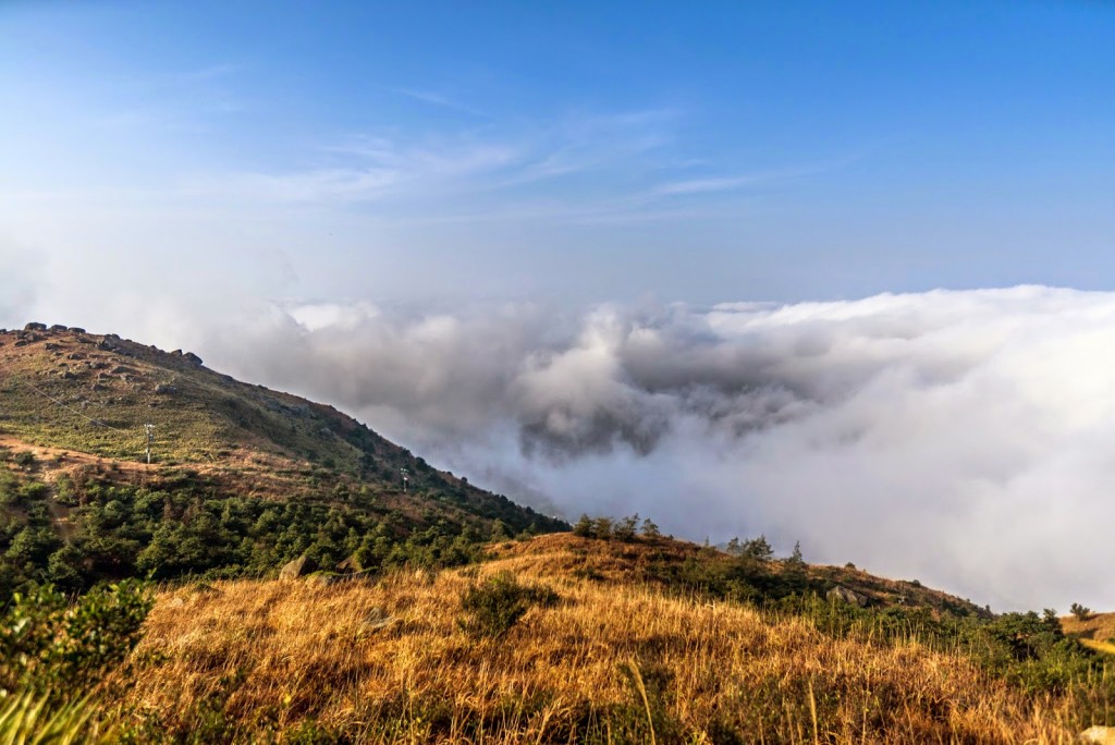 #§j¥U§s (•-¥∫∑Ì§È) DSC04520 (Sony A7R)