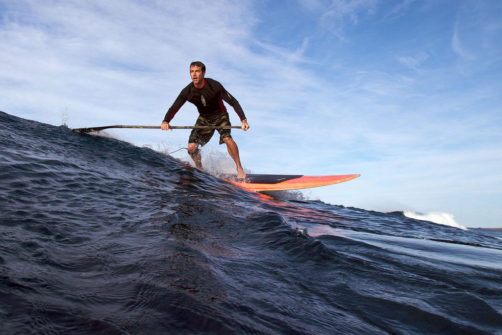 4036089735_096a380e32_b