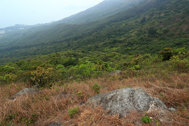 南大嶼郊野公園