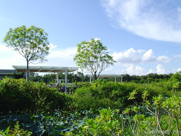 天水圍濕地公園