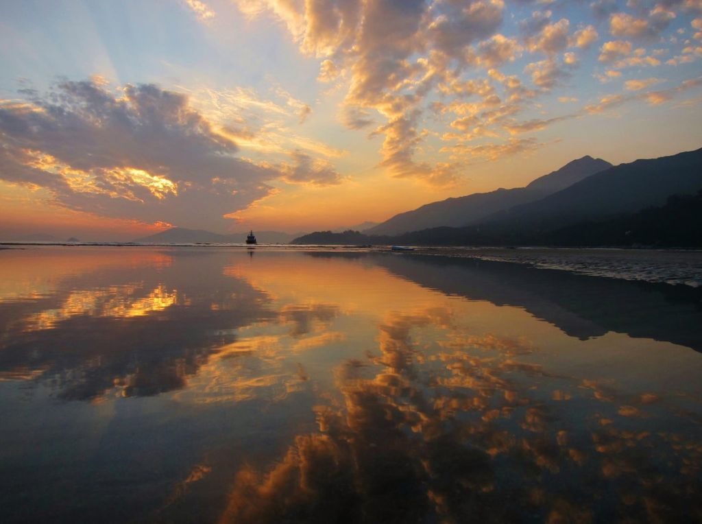 20-20___lf3gt_1200x0