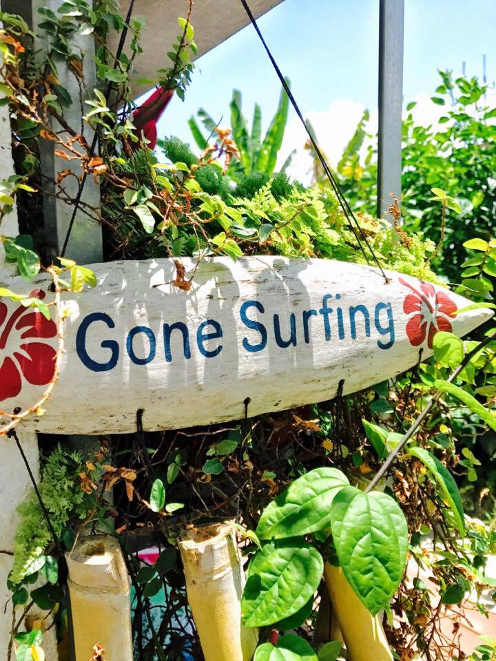 東涌民宿, 民宿, 城市綠洲民宿, 城市綠洲, 中華白海豚, 侯王宮, 地塘仔郊遊徑, 大嶼山, 大東山, 彈塗魚, 招潮蟹, 昂坪, 昂坪棧道, 東涌, 東澳古道, 機埸, 民宿, 沙螺灣, 濕地, 紅樹林, 纜車, 自然, 芒草, 觀星, 遠足, 鳳凰山, Holimood