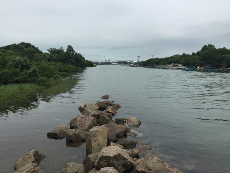 東涌行山徑, 民宿, 城市綠洲, 白芒村, 行山, 東涌, 行山徑, 大東山, 鳳凰山, 鳳凰徑, 奧運徑, 大嶼山, 東澳古道, 東梅古道, 沙螺灣, 沙螺灣村, 天壇大佛, 寶蓮寺, 心經簡林, 芒草, 自然, 山系男女, 深屈灣, 古村, 古樹, 梅窩, 大澳