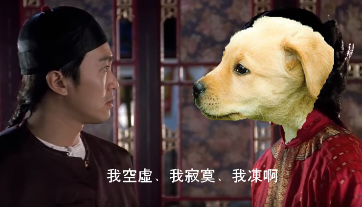 Holimood, 大嶼山, 海景, 貝澳, 長洲, 海景, 下長沙, 寵物, 毛孩, 民宿, 狗, 貝澳露營車, 南非營, 特色南非營, 冷氣南非營