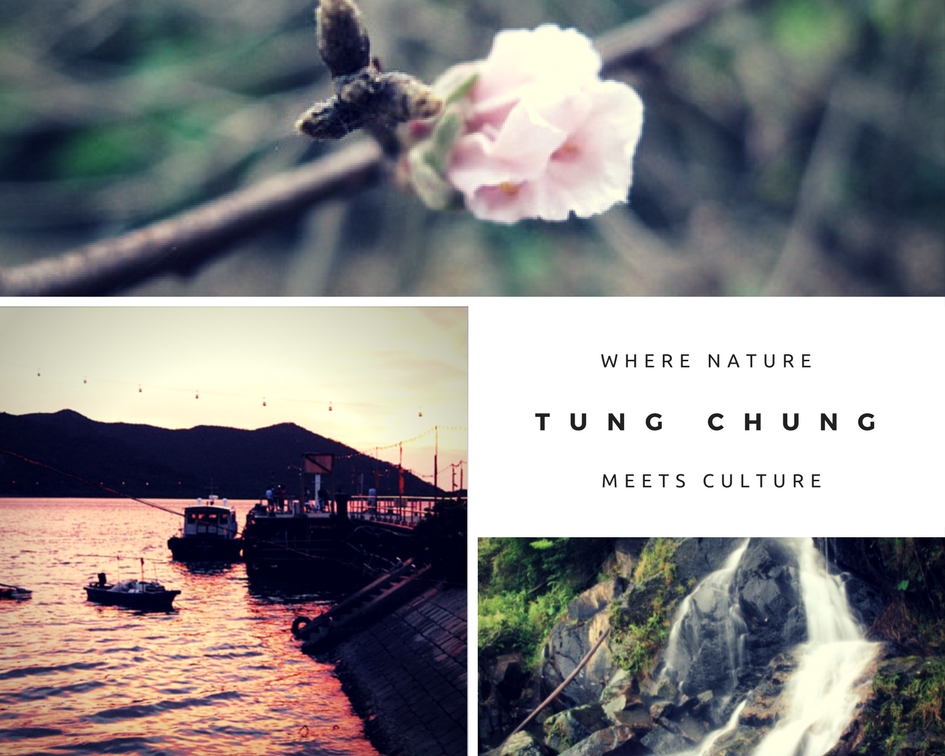 中華白海豚, 侯王宮, 地塘仔郊遊徑, 大嶼山, 大東山, 彈塗魚, 招潮蟹, 昂坪, 昂坪棧道, 東涌, 東澳古道, 機埸, 民宿, 沙螺灣, 濕地, 紅樹林, 纜車, 自然, 芒草, 觀星, 遠足, 鳳凰山, Holimood