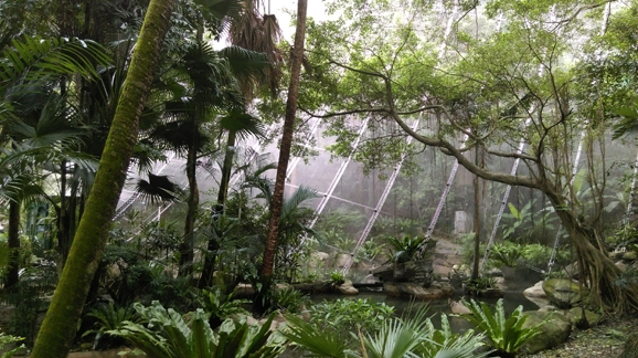 香港島自然景點, 灣仔, 灣仔民宿, 香港公園, 金鐘, Wan Chai, Hong Kong Park, Admiralty, 香港島, 自然, 自然遊, 自然深度遊, 觀鳥, 尤德觀鳥園, 蜻蜓, 保育園地, 鳥瞰角, 溫室, 霍士傑溫室, Mingle Place, With the Stars, By the Park, 度假酒店, 酒店, 名樂居