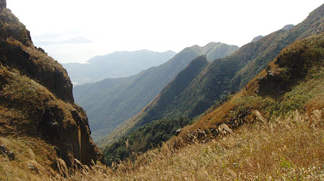 東涌行山徑, 民宿, 城市綠洲, 白芒村, 行山, 東涌, 行山徑, 大東山, 鳳凰山, 鳳凰徑, 奧運徑, 大嶼山, 東澳古道, 東梅古道, 沙螺灣, 沙螺灣村, 天壇大佛, 寶蓮寺, 心經簡林, 芒草, 自然, 山系男女, 深屈灣, 古村, 古樹, 梅窩, 大澳