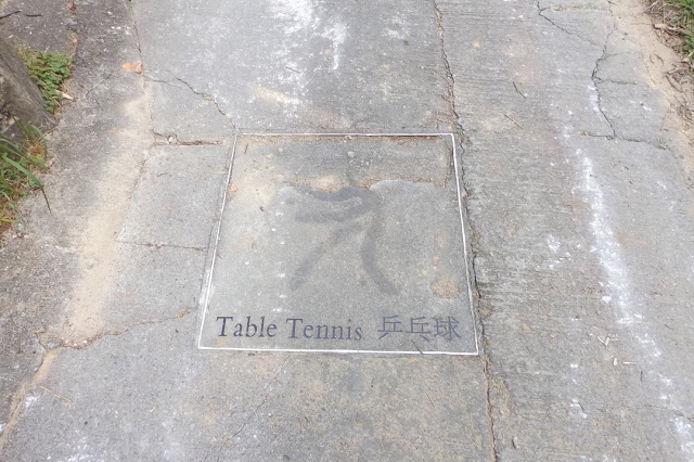 東涌行山徑, 民宿, 城市綠洲, 白芒村, 行山, 東涌, 行山徑, 大東山, 鳳凰山, 鳳凰徑, 奧運徑, 大嶼山, 東澳古道, 東梅古道, 沙螺灣, 沙螺灣村, 天壇大佛, 寶蓮寺, 心經簡林, 芒草, 自然, 山系男女, 深屈灣, 古村, 古樹, 梅窩, 大澳