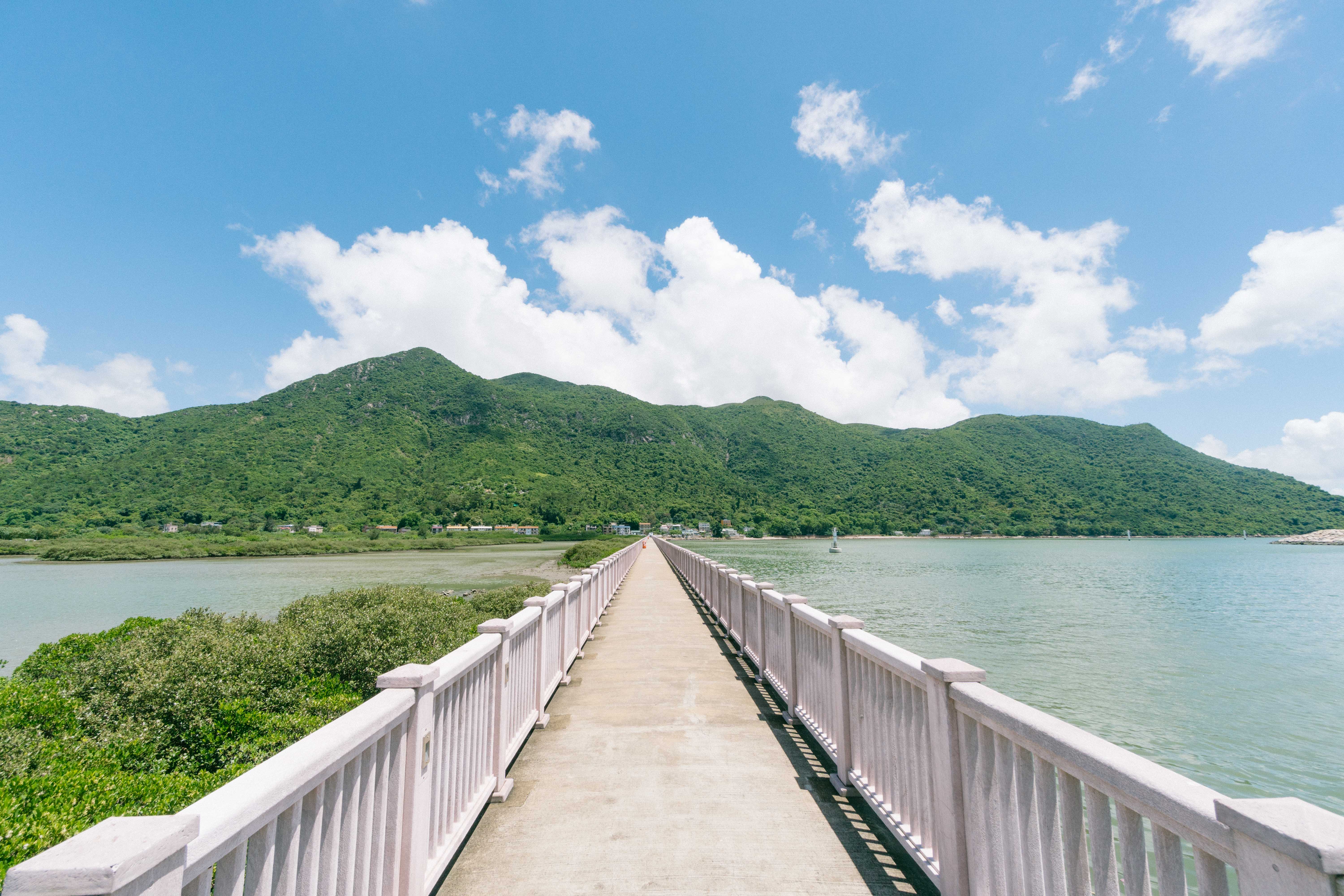 大嶼山, 大澳, 海悠居, 景點, 玩樂, 海景, 漁村, 貓, 招潮蟹, 紅樹林, 大澳大會堂, 濕地, 旅遊, 海濱長廊, 棚屋, 東京士多, 新基大橋, 橫水橋, 藝術, 畫廊, 范赫畫廊, 貓澳, 隱藏, 遊記