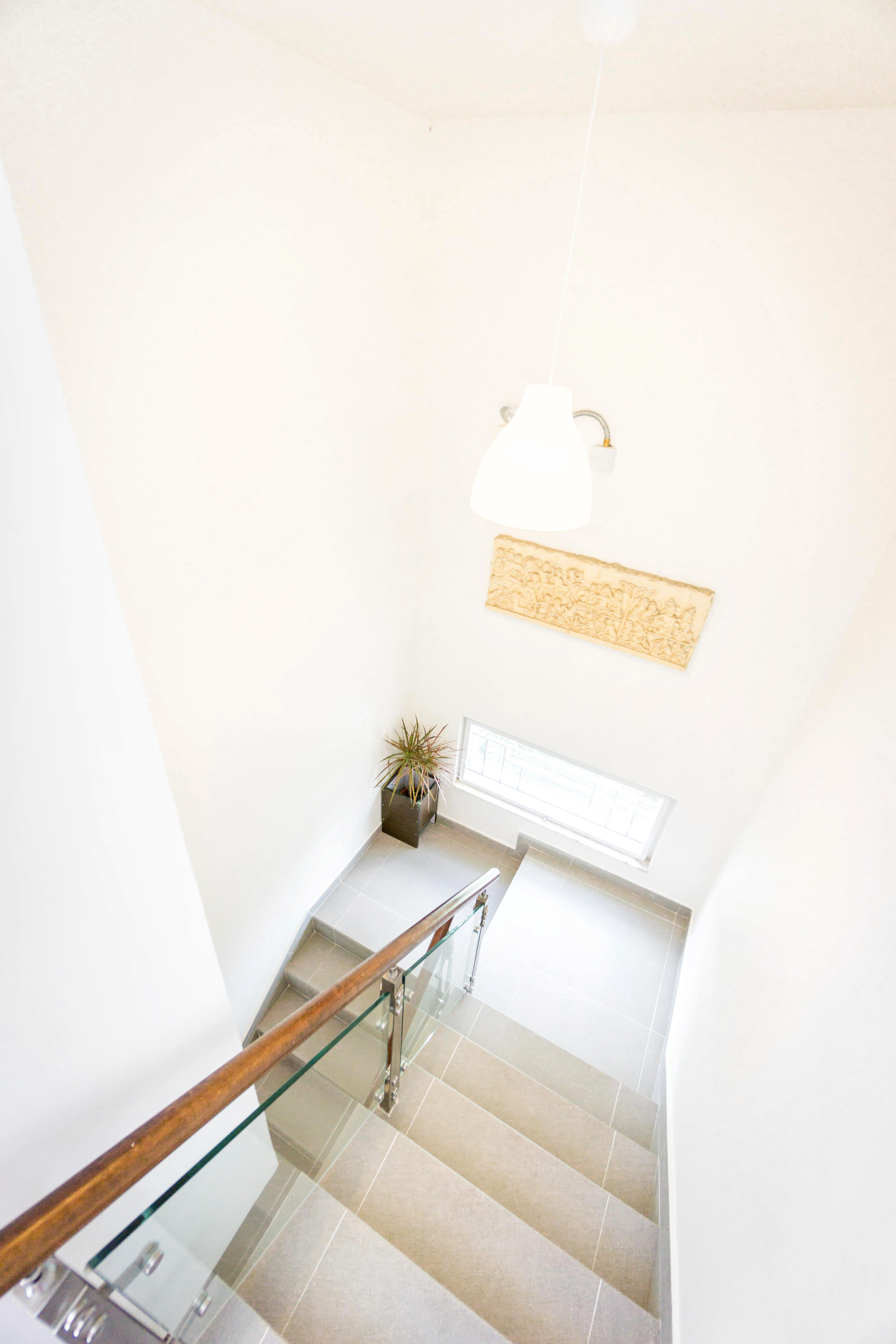 東涌民宿, 民宿, 城市綠洲民宿, 城市綠洲, 中華白海豚, 侯王宮, 地塘仔郊遊徑, 大嶼山, 大東山, 彈塗魚, 招潮蟹, 昂坪, 昂坪棧道, 東涌, 東澳古道, 機埸, 民宿, 沙螺灣, 濕地, 紅樹林, 纜車, 自然, 芒草, 觀星, 遠足, 鳳凰山, Holimood