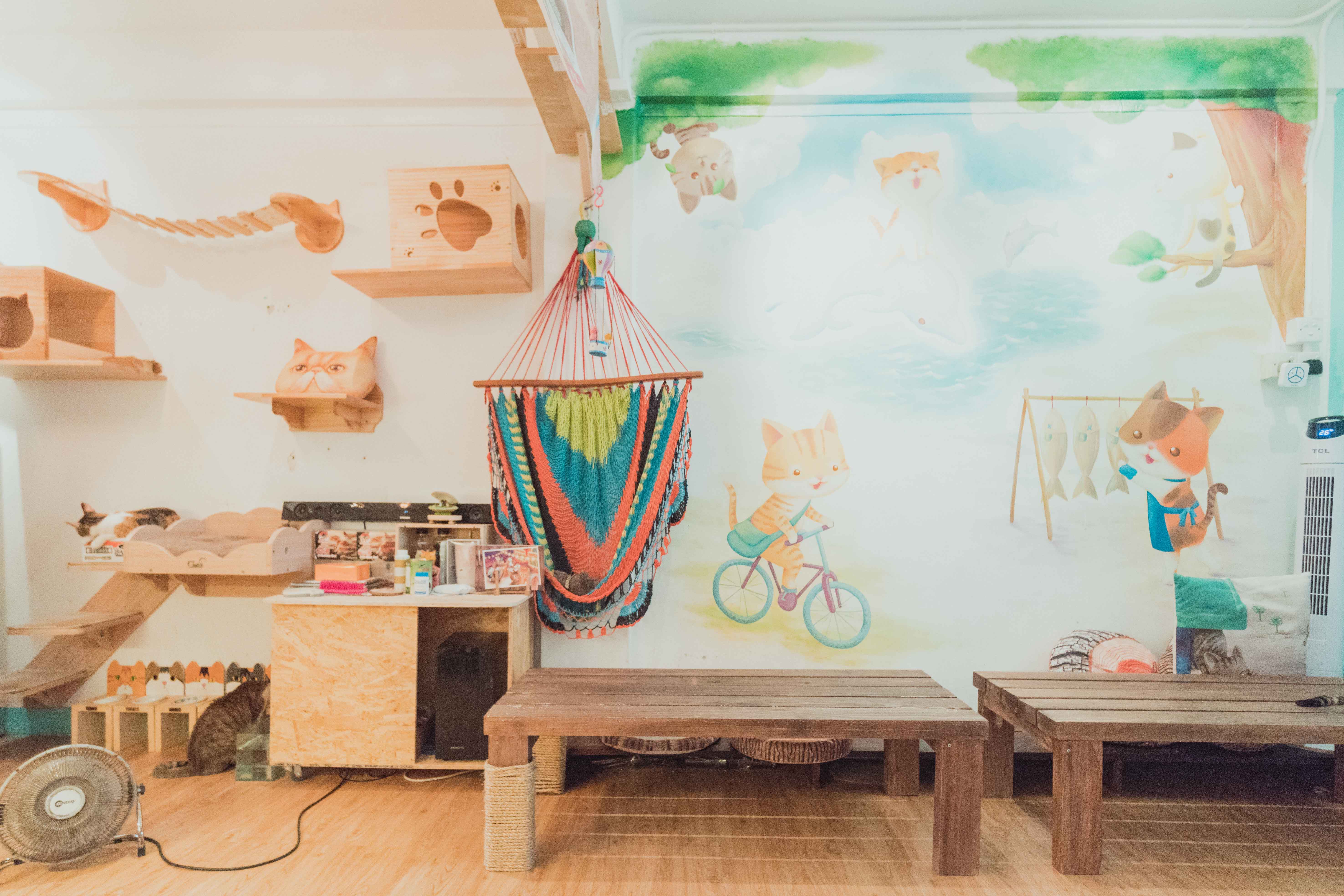 Cafe, 海悠居, 貓澳, 貓澳Cafe, 咖啡店, 貓, 貓貓咖啡店, 貓星人, 大澳, 小店, 漁村, 特色