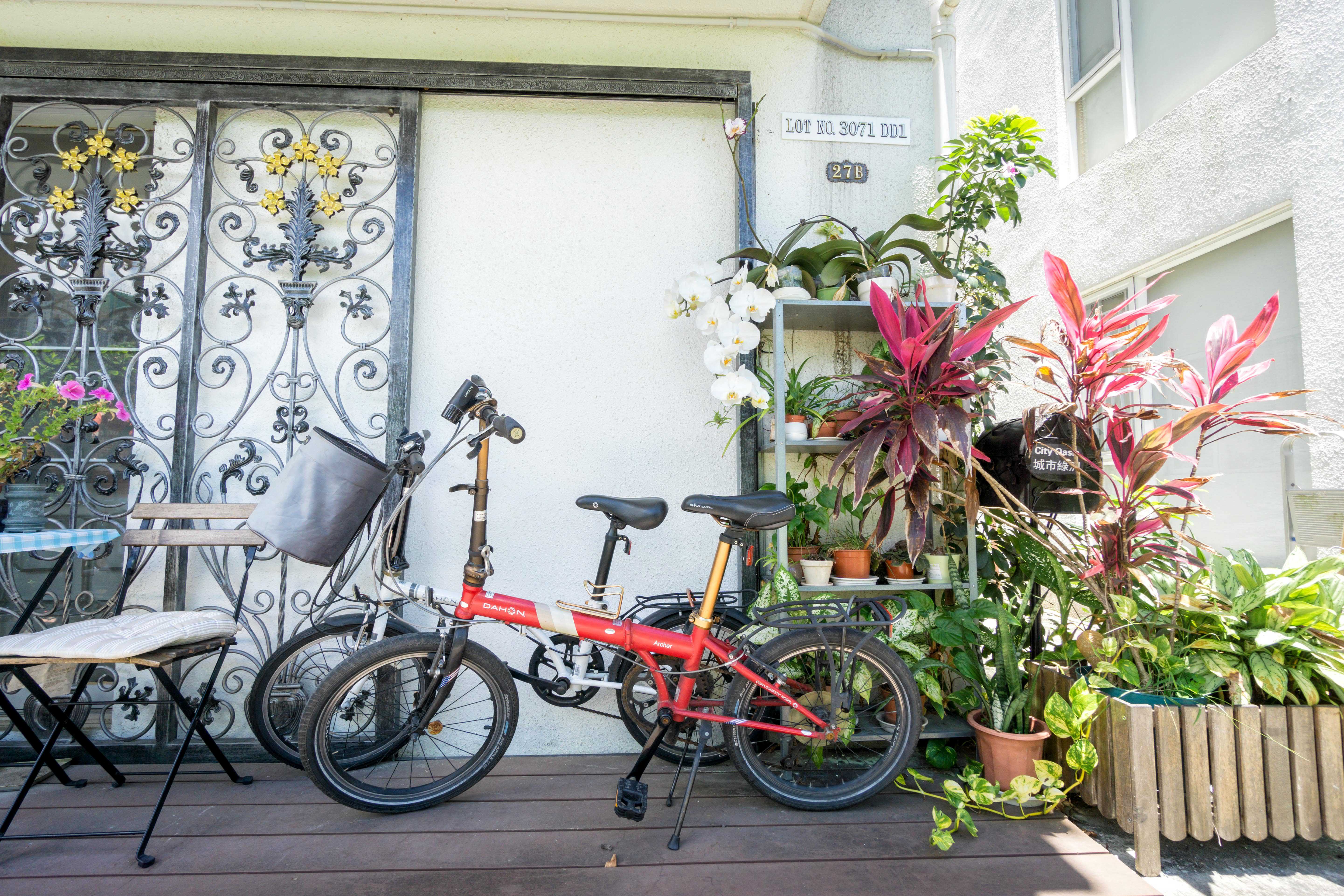 東涌民宿, 民宿, 城市綠洲民宿, 城市綠洲, 中華白海豚, 侯王宮, 地塘仔郊遊徑, 大嶼山, 大東山, 彈塗魚, 招潮蟹, 昂坪, 昂坪棧道, 東涌, 東澳古道, 機埸, 民宿, 沙螺灣, 濕地, 紅樹林, 纜車, 自然, 芒草, 觀星, 遠足, 鳳凰山, Holimood