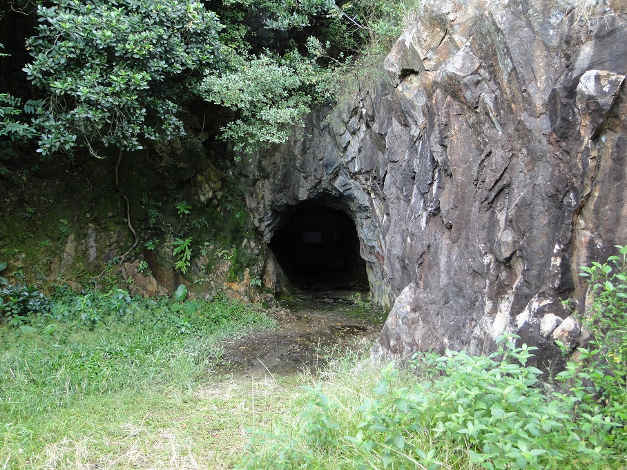 東涌行山徑, 民宿, 城市綠洲, 白芒村, 行山, 東涌, 行山徑, 大東山, 鳳凰山, 鳳凰徑, 奧運徑, 大嶼山, 東澳古道, 東梅古道, 沙螺灣, 沙螺灣村, 天壇大佛, 寶蓮寺, 心經簡林, 芒草, 自然, 山系男女, 深屈灣, 古村, 古樹, 梅窩, 大澳
