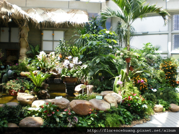 香港島自然景點, 灣仔, 灣仔民宿, 香港公園, 金鐘, Wan Chai, Hong Kong Park, Admiralty, 香港島, 自然, 自然遊, 自然深度遊, 觀鳥, 尤德觀鳥園, 蜻蜓, 保育園地, 鳥瞰角, 溫室, 霍士傑溫室, Mingle Place, With the Stars, By the Park, 度假酒店, 酒店, 名樂居