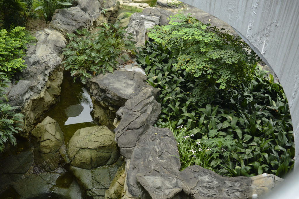 香港島自然景點, 灣仔, 灣仔民宿, 香港公園, 金鐘, Wan Chai, Hong Kong Park, Admiralty, 香港島, 自然, 自然遊, 自然深度遊, 觀鳥, 尤德觀鳥園, 蜻蜓, 保育園地, 鳥瞰角, 溫室, 霍士傑溫室, Mingle Place, With the Stars, By the Park, 度假酒店, 酒店, 名樂居