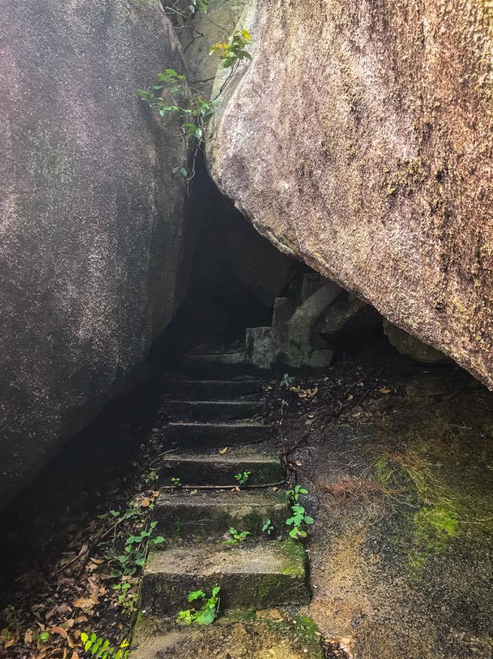 長洲, Holimood, 長洲深度遊, 東灣, 離島, B&B, 行山, 張保仔洞, 海景, 東灣, 小店, 長洲餐廳, 北帝廟, 玉虛宮, 天后廟, 五行石, 行山徑, 天后亭, 西灣, 水上活動, 島中研坊
