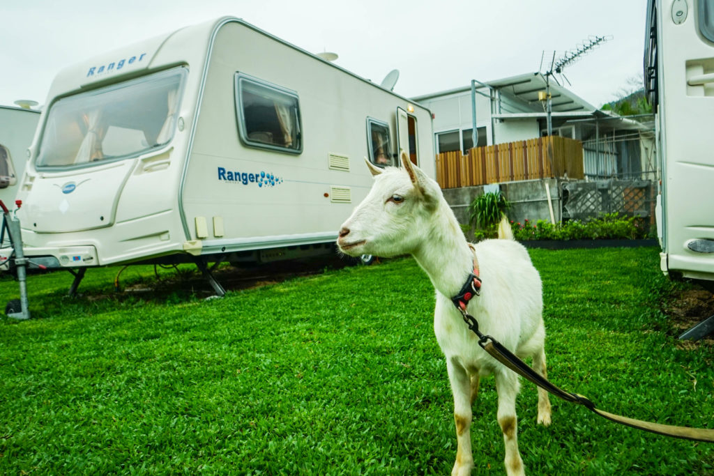 貝澳露營車, 貝澳, 長沙, 長沙海灘, 貝澳海灘, 天水圍露營車, 長沙露營車, 天水圍, 露營車, 水上活動, 滑水, 自然遊, 東涌, 大嶼山, 