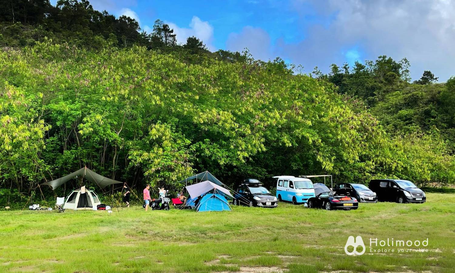 綠行鳥營地 | 大棠露營·觀星營地·紅葉生態園 【元朗2026新裝修營地】 自攜營帳露營體驗 1
