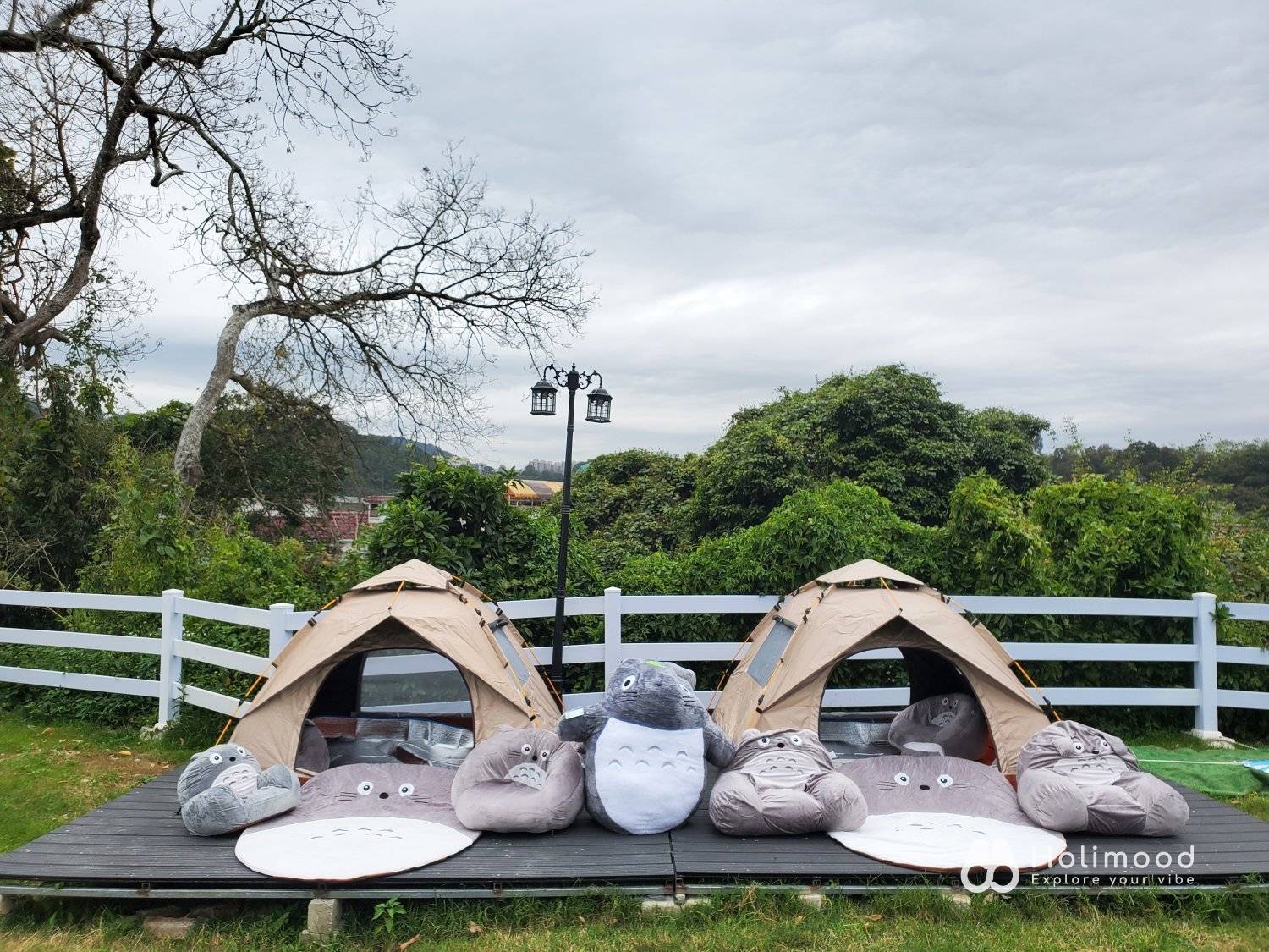 Xtivity 【貓巴士主題】任你玩2日1夜露營+派對｜寵物友善｜親子好去處｜包場派對 18