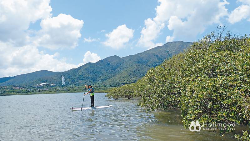 Supway_naturehk 【一人成團】直立板半天體驗團|導賞大埔汀角紅樹林 1