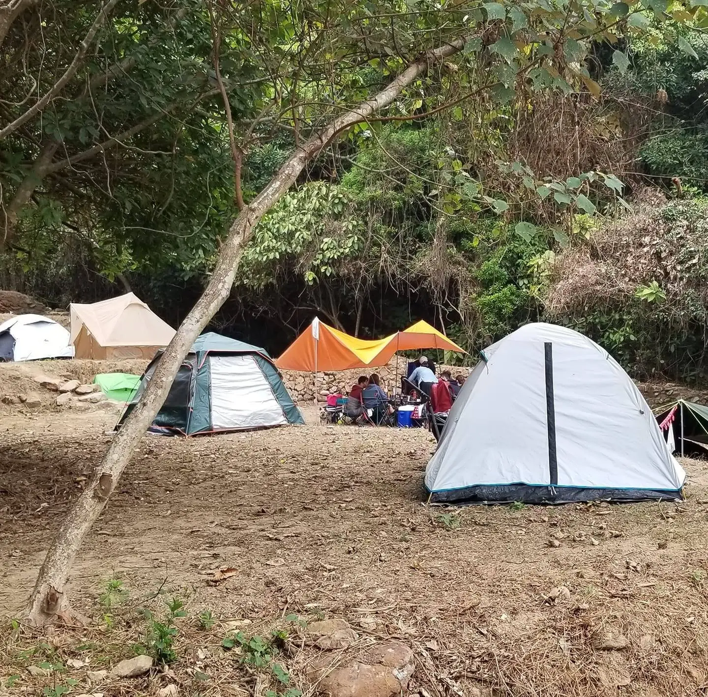 . 【Wild Camping】Zone A - BYOT Package (Pet-friendly) 7