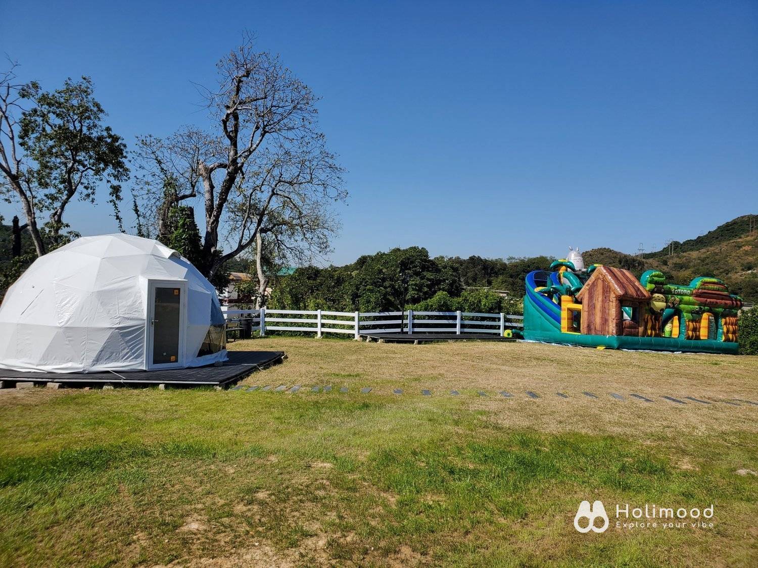 Xtivity 【貓巴士主題】任你玩2日1夜露營+派對｜寵物友善｜親子好去處｜包場派對 9