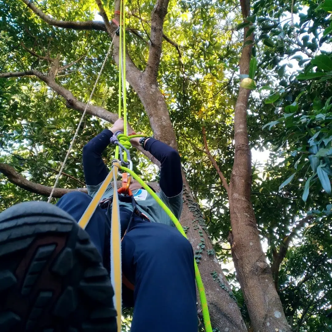 Rope3Style 【馬鞍山全港唯一穿越山谷百米】飛索秘境之旅 8