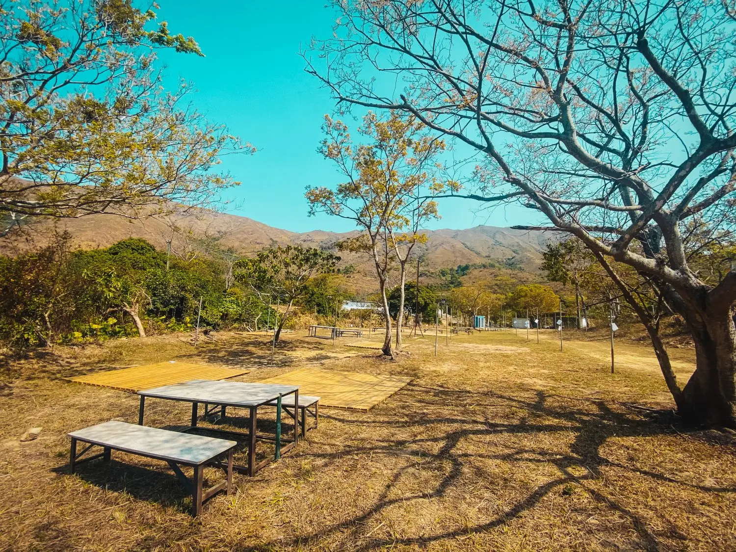 WE CAMP 元朗露營 - 15萬呎營地|豪華露營、汽車露營、塘景露營體驗 【汽車露營區A-Zone】【自扎營】租用營帳/汽車露營(1-3人) 14