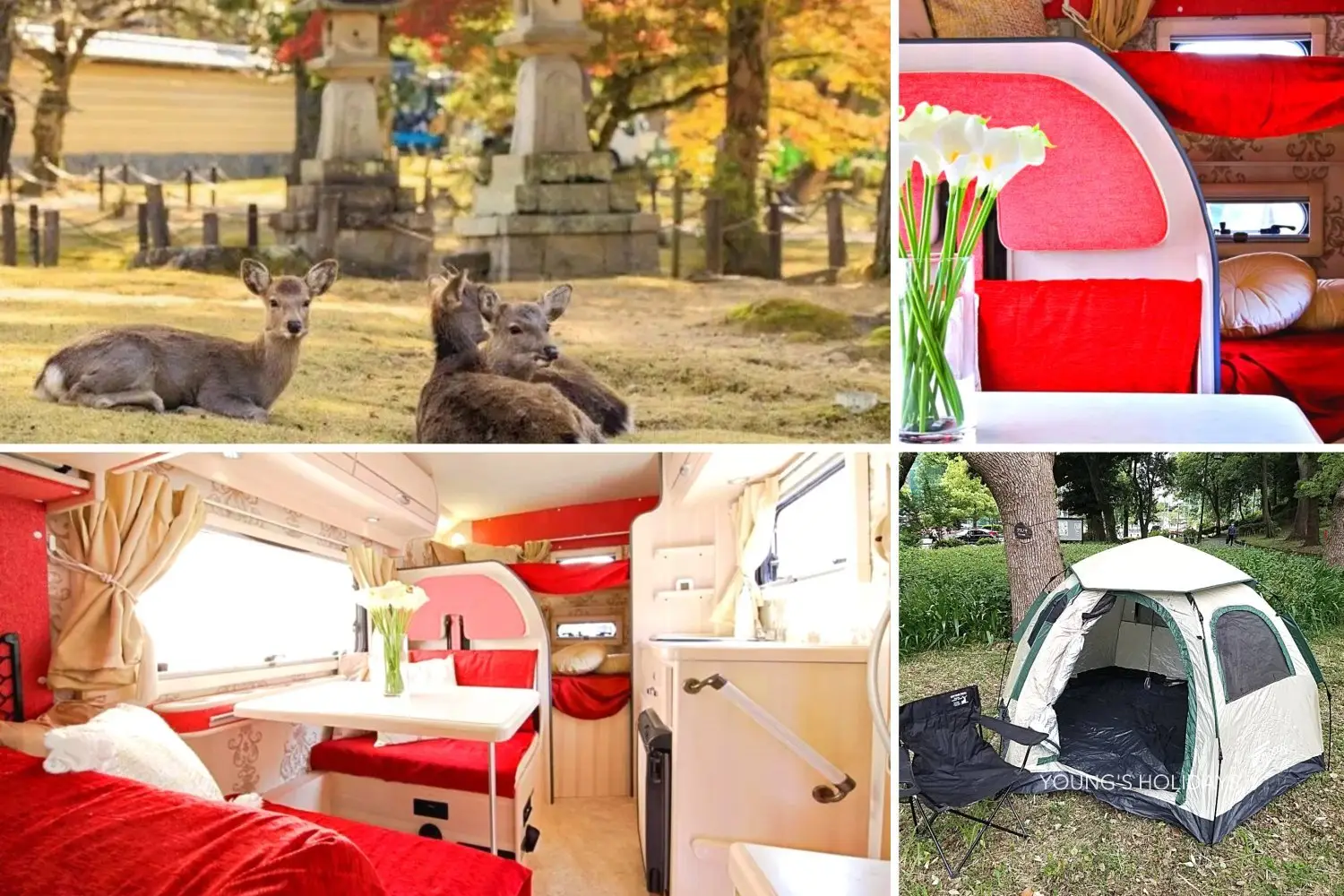 Young's Holidays - Diving Tours, Self-Drive Trips, Japan Campervans 【Tokto】Japan 5ppl RV Caravan 24 hours Rental Experience(JTSR) 1