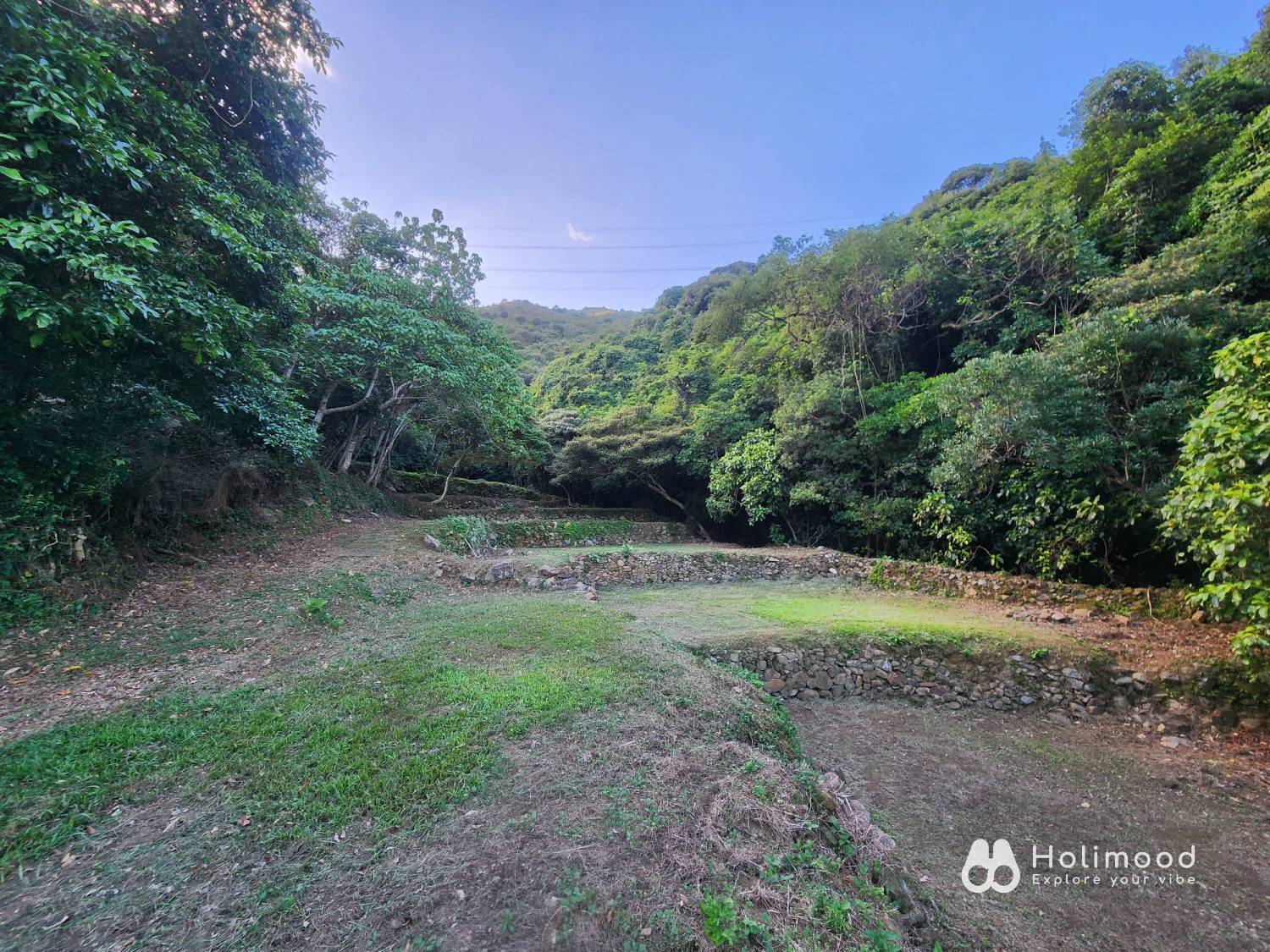 營喜野外露營場地 【深山系野外營區】自攜營帳體驗 - Zone A 野營區 (可自費攜帶寵物及進行營火體驗) 2