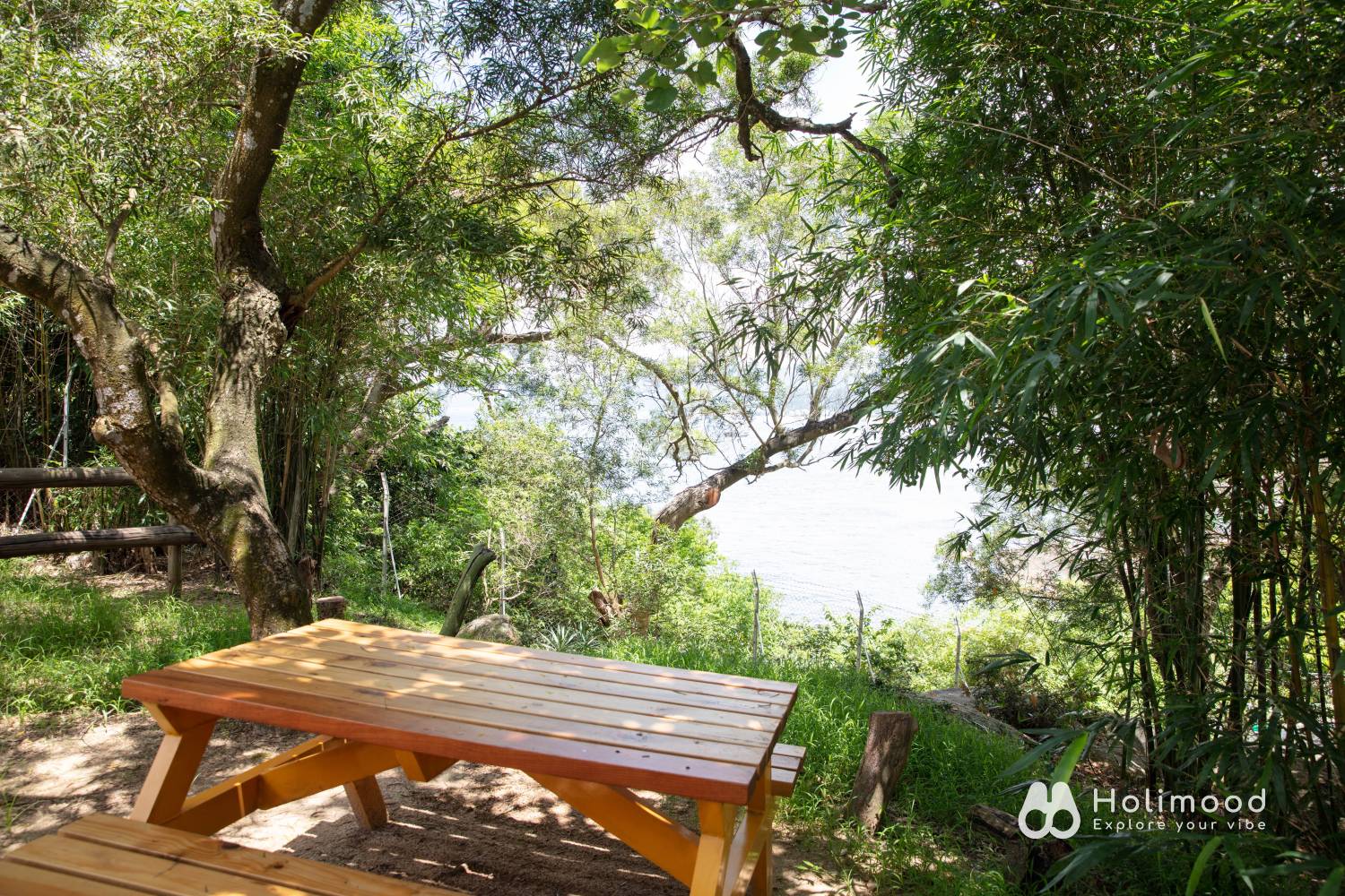 Cheung Chau Sai Yuen Camping - Camping Areas、Glamping Experience、Adventure Activities Geodesic Dome 6