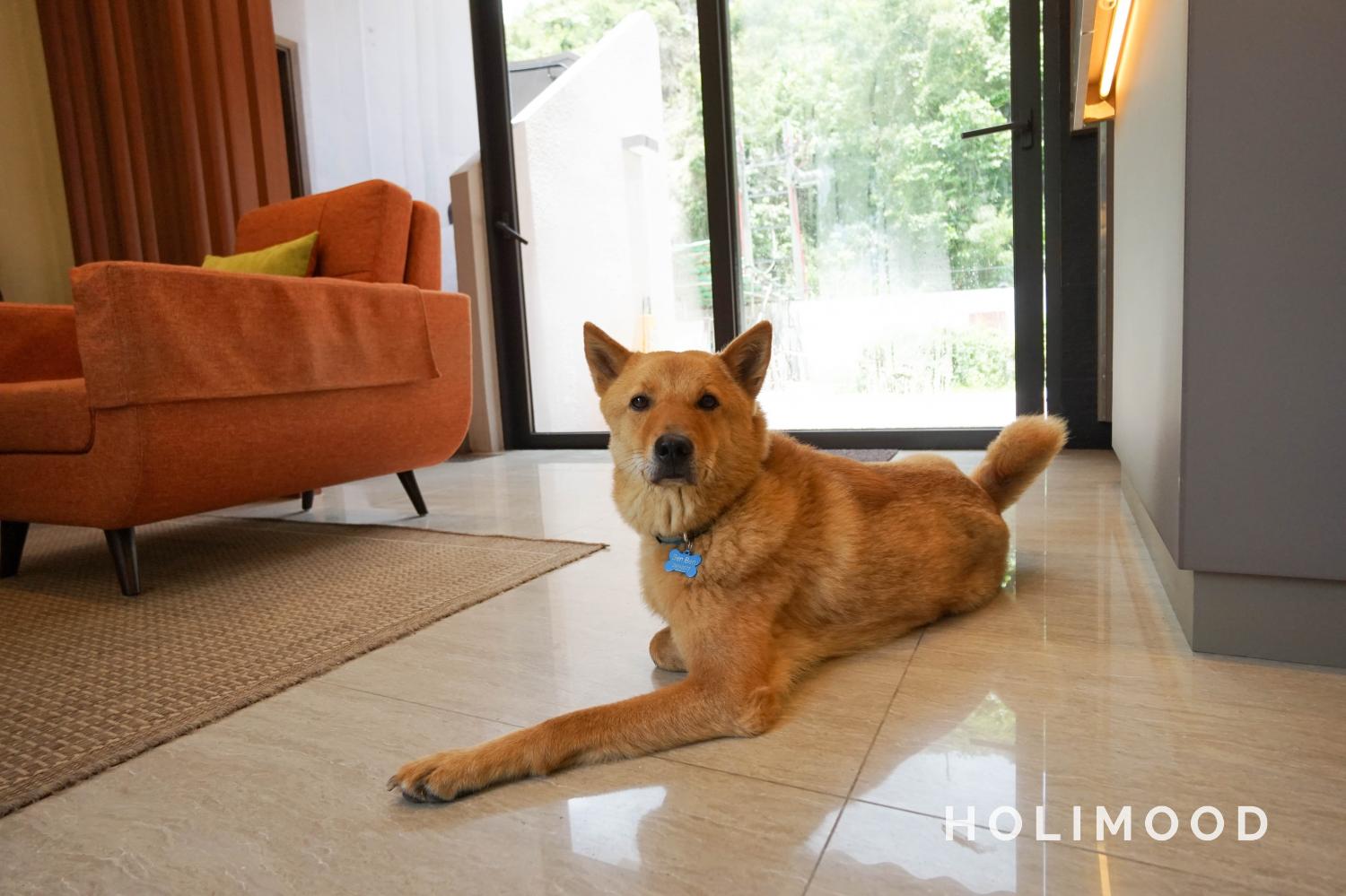 Mui Wo Seaview Holiday Resort 【Stay with your own Pet Package】Pet-friendly Standard Room + Breakfast + Lunch/Dinner Set + Dinner for the Pets｜Seaview Holiday Resort 2