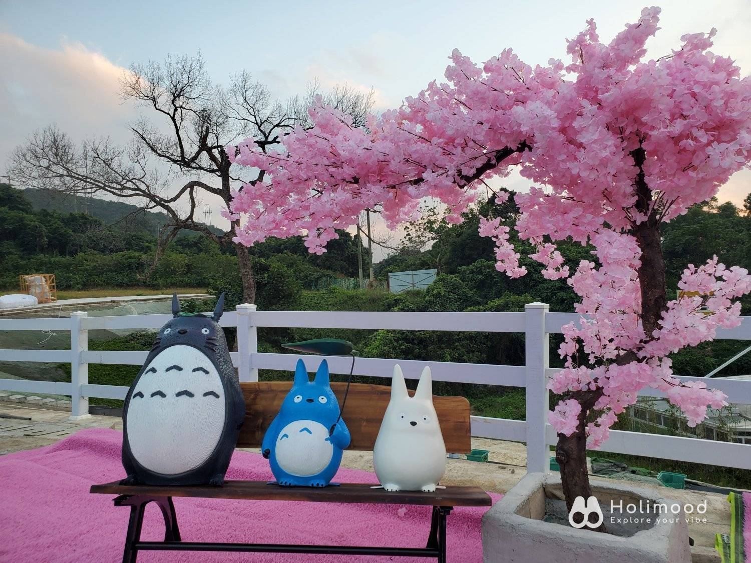 Xtivity 【貓巴士主題】任你玩2日1夜露營+派對｜寵物友善｜親子好去處｜包場派對 4