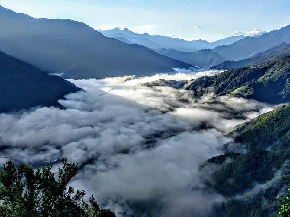 GOGO CAMP COMPANY 【台中5天雲海體驗】台中雲海露營採茶體驗 5天休閒美景之旅 3