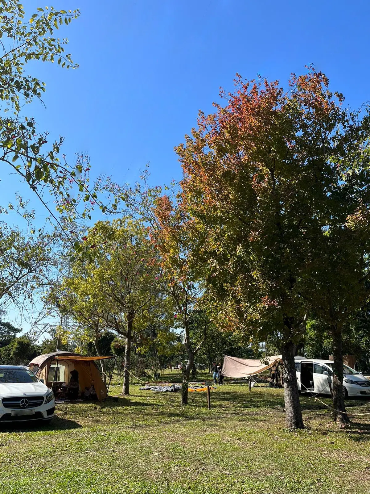 Forest Pathway Camping | Kam Tin Campsite·Pet-friendly Forest Pathway - Camping (Bring your own tent/ tent Rental) 4