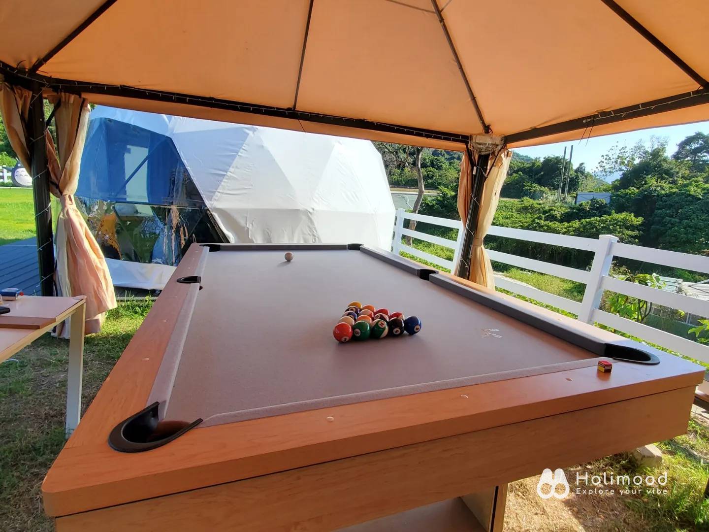 Xtivity 【貓巴士主題】任你玩2日1夜露營+派對｜寵物友善｜親子好去處｜包場派對 26