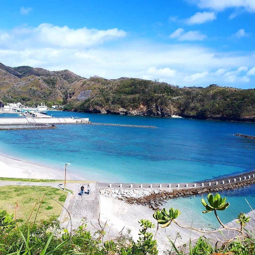 Young's Holidays [Tokyo Ogasawara Island] Asia Galapagos Diving Heaven Ogasawara 7 Days 6 Nights Diving Tour 4