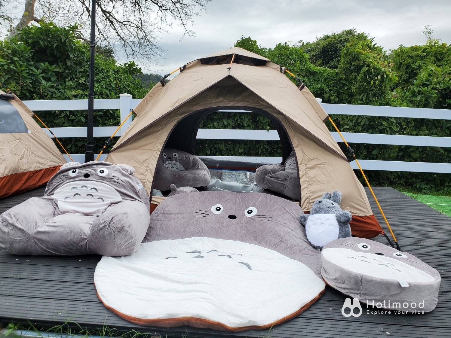 Xtivity 【貓巴士主題】任你玩2日1夜露營+派對｜寵物友善｜親子好去處｜包場派對 19