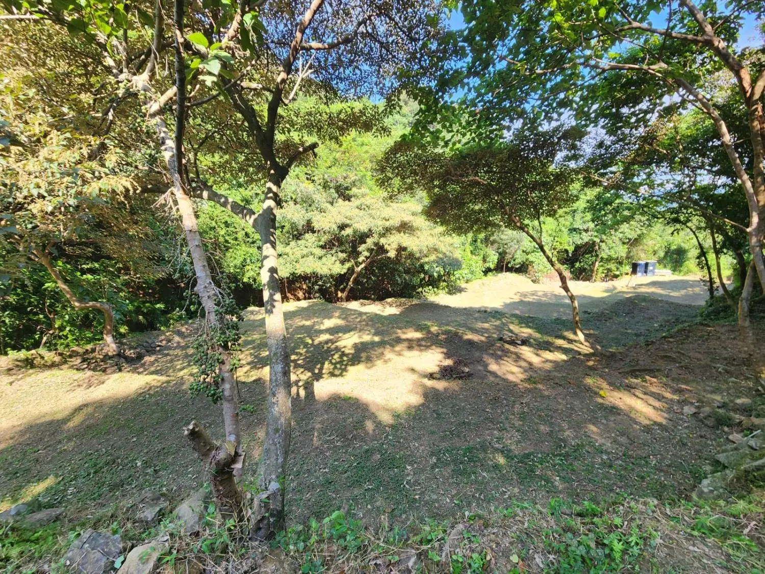 . 【Wild Camping】Zone A - BYOT Package (Pet-friendly) 2