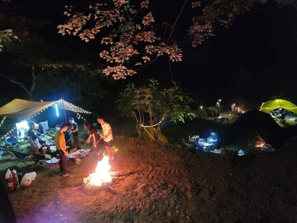 . 【Wild Camping】Zone A - BYOT Package (Pet-friendly) 6