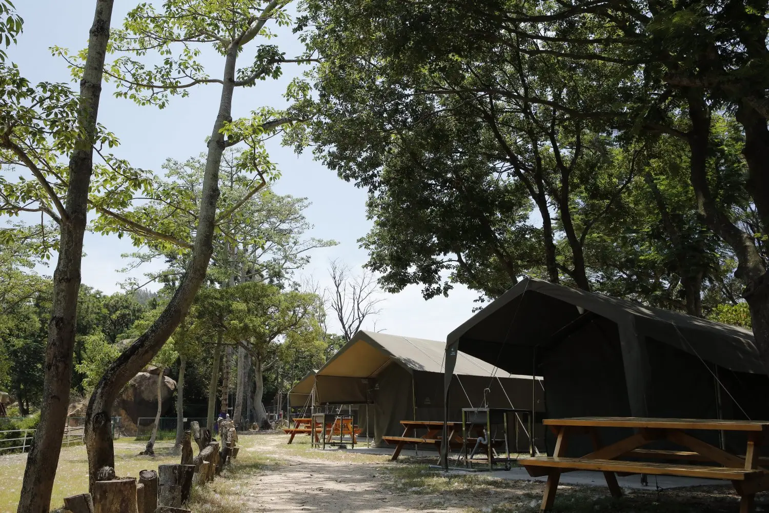 Cheung Chau Sai Yuen Camping - Camping Areas、Glamping Experience、Adventure Activities African Safari Tents (XL) 5