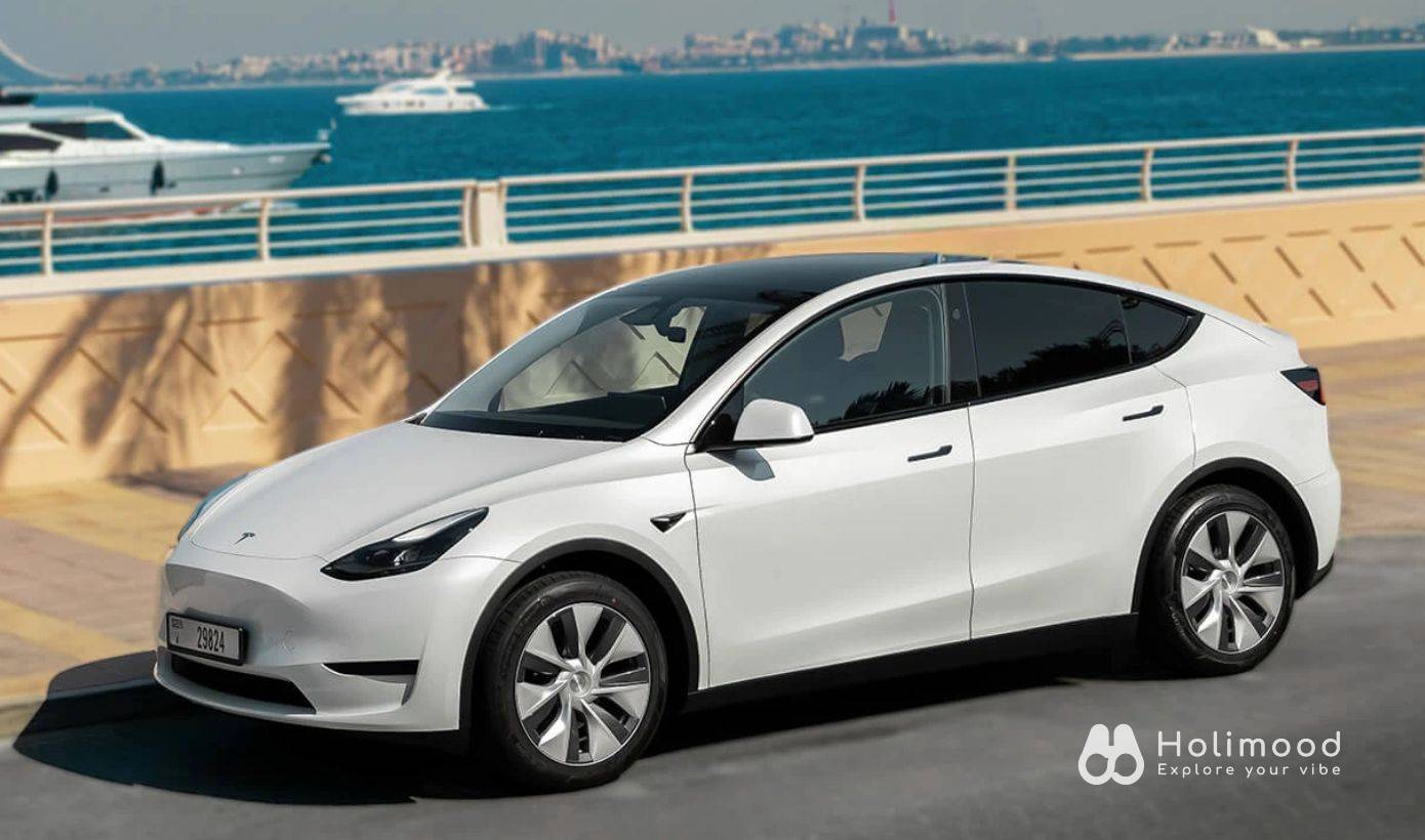 All car rental Tesla Model 3 Highland/ Model Y Standard- 日租/週租 7