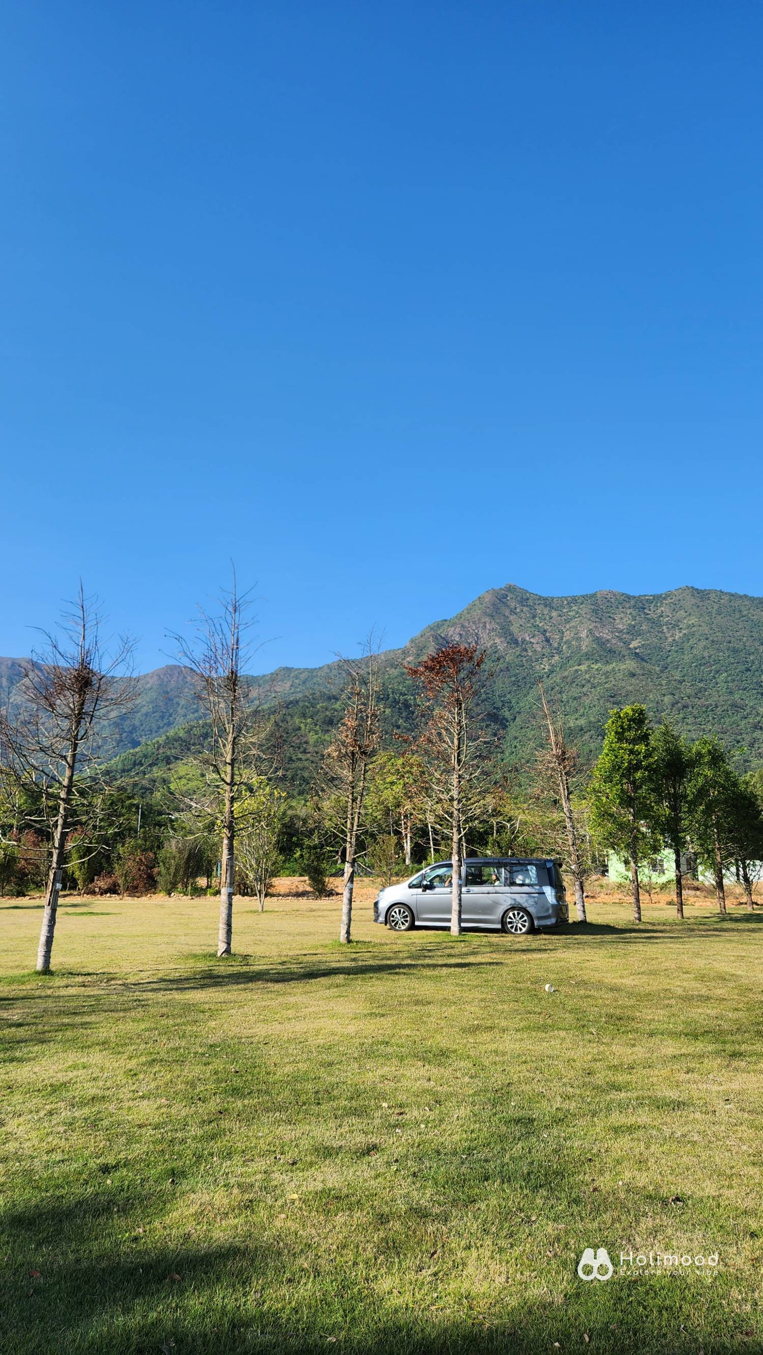 大埔星浪岬 【Day Camping之選】大埔仙境木林海景營地｜星浪岬ALOHA露營場 6