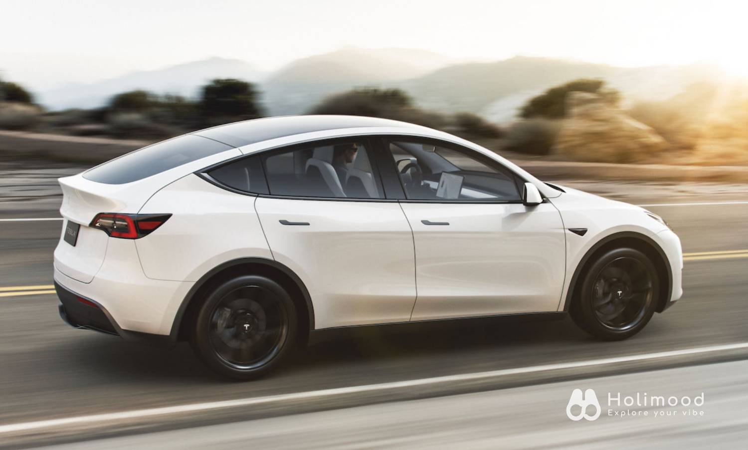 All car rental Tesla Model 3 Highland/ Model Y Standard- 日租/週租 8