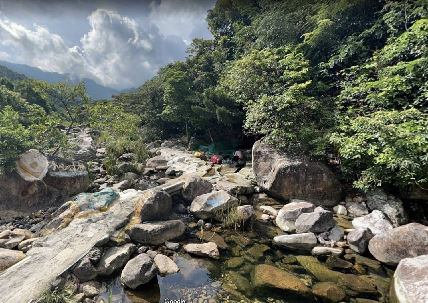 街坊帶路 東涌生態漫遊 4