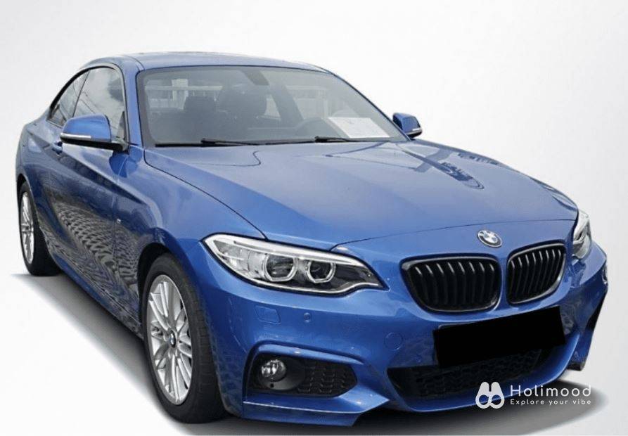 Flying Auto Hong Kong BMW X1 18iDrive/ 220iA Coupe/ 530A Luxury - 日租/週租 5