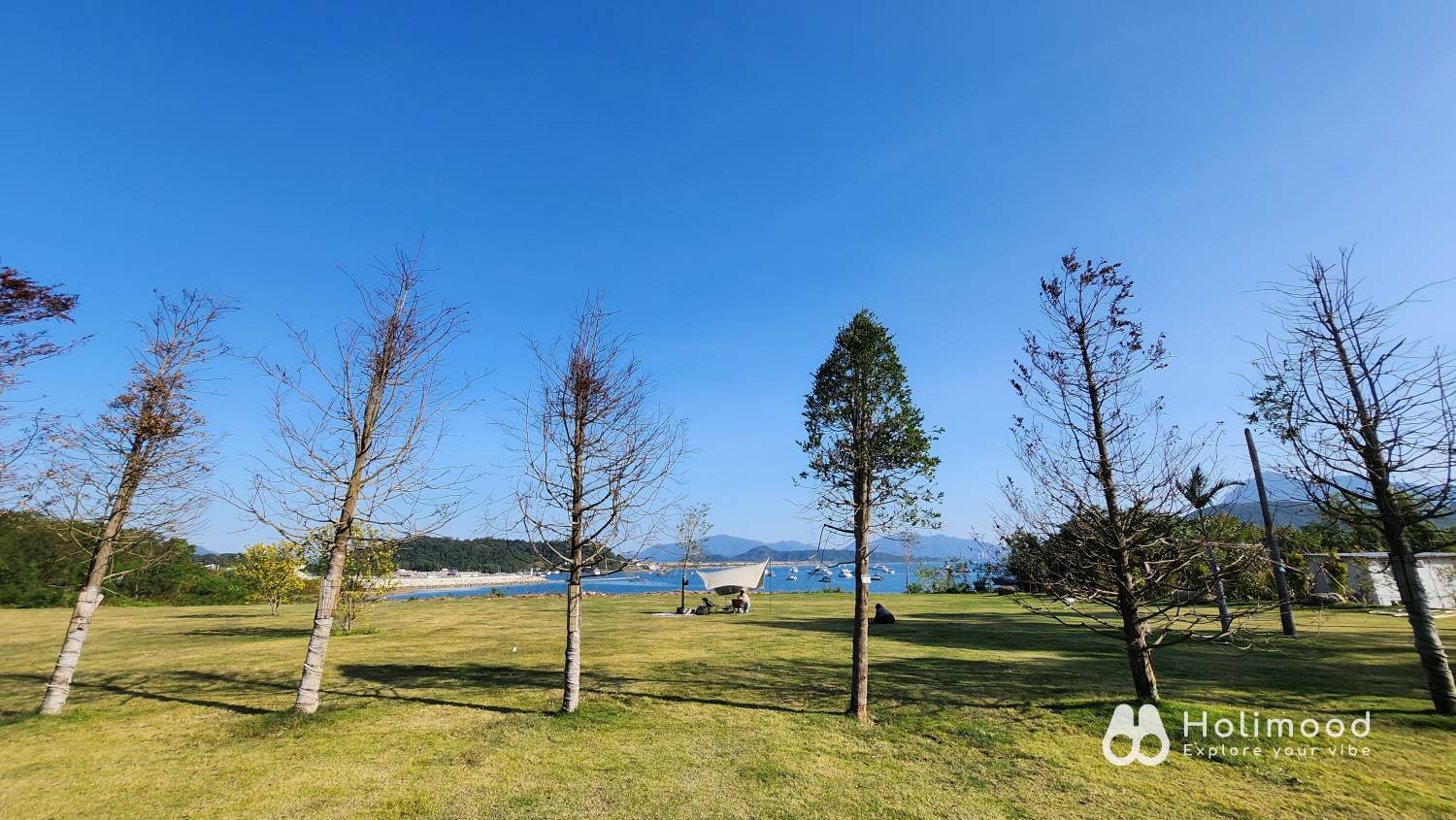 大埔星浪岬 【Day Camping之選】大埔仙境木林海景營地｜星浪岬ALOHA露營場 4