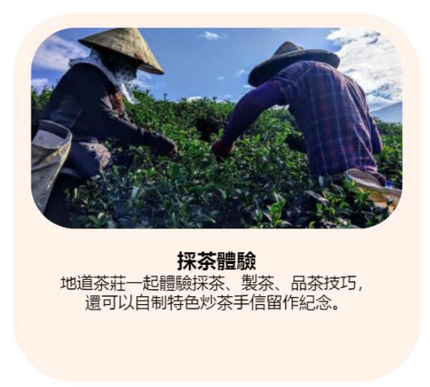 GOGO CAMP COMPANY 【台中5天雲海體驗】台中雲海露營採茶體驗 5天休閒美景之旅 4