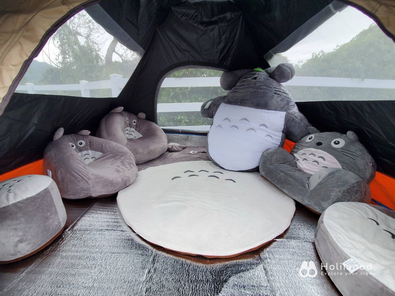 Xtivity 【貓巴士主題】任你玩2日1夜露營+派對｜寵物友善｜親子好去處｜包場派對 20